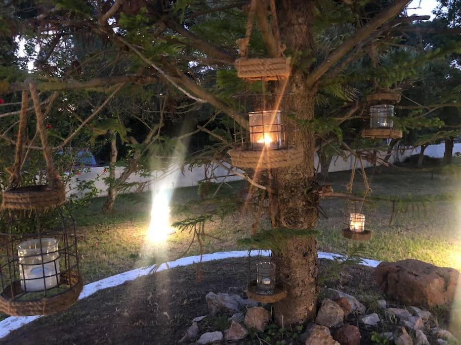 Villa Anastasia! In Strofylia Pine Forest!!! Manolas Zewnętrze zdjęcie