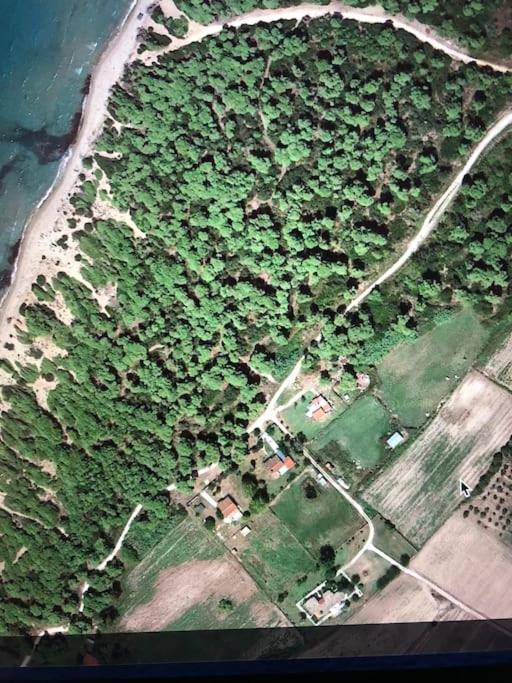 Villa Anastasia! In Strofylia Pine Forest!!! Manolas Zewnętrze zdjęcie